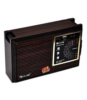 Радиоприемники Golon RX-9933 оптом, Golon , 12,00 $