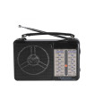 Радиоприемник Golon RX-607AC