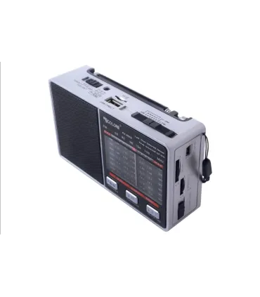 MP3 PLAYER радиоприемник Golon RX-8866 оптом, Golon , 6,30 $