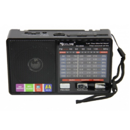 MP3 PLAYER радиоприемник Golon RX-8866 оптом, Golon , 6,30 $