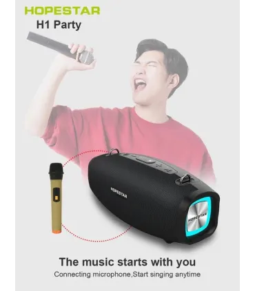 Беспроводная колонка HOPESTAR H1 Party караоке серая оптом, Hopestar , 65,00 $